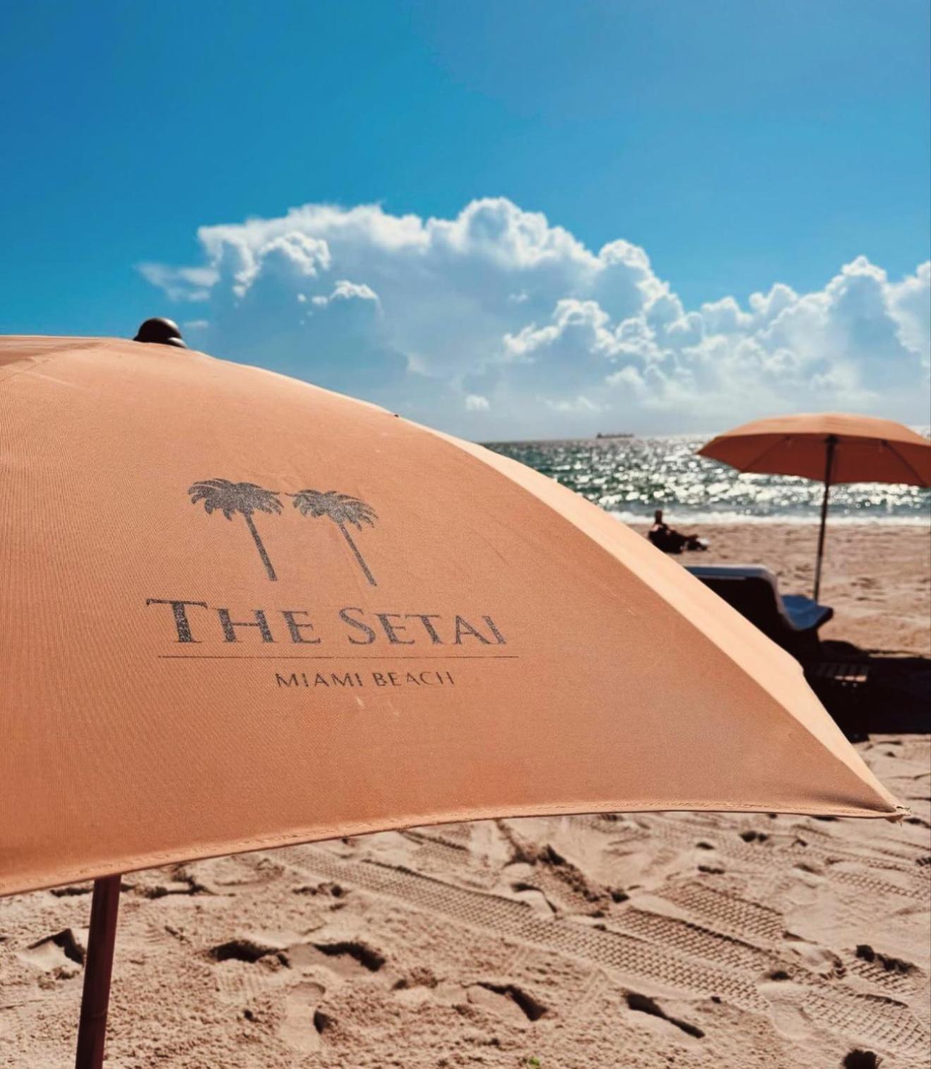 The Setai 5 Stars Hotel-residence Miami Oceanview 2 Bedroom Unique Apartahotel Miami Beach